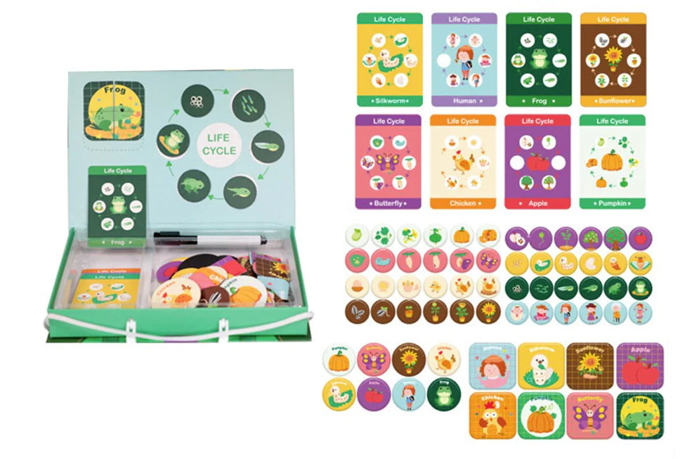 LifeCycle - Ein spielerischer Weg, etwas über Lebenszyklen zu lernen! - Puzzle Box