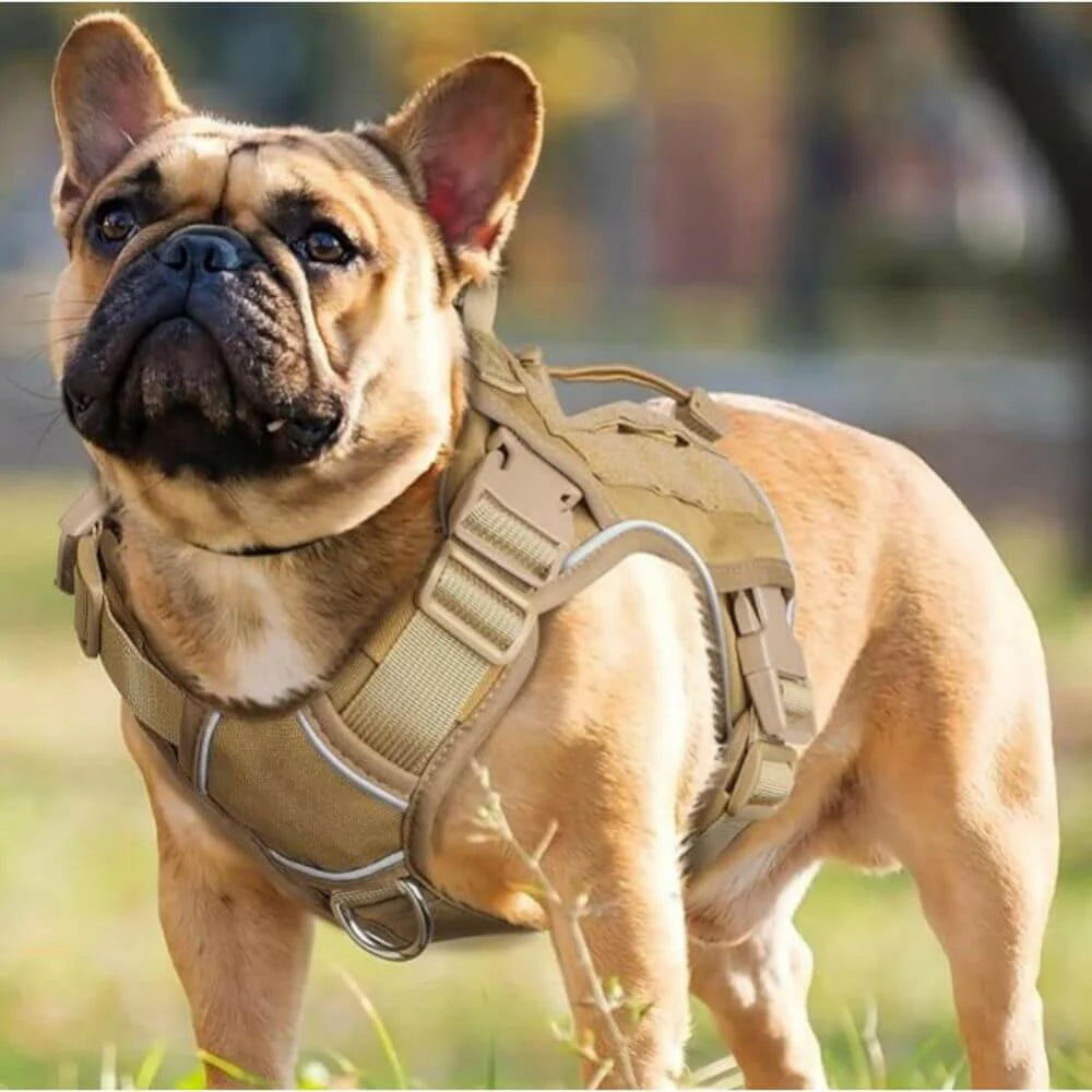 BattlePro – Militrisches Hundegeschirr für starke Kontrolle und Komfort