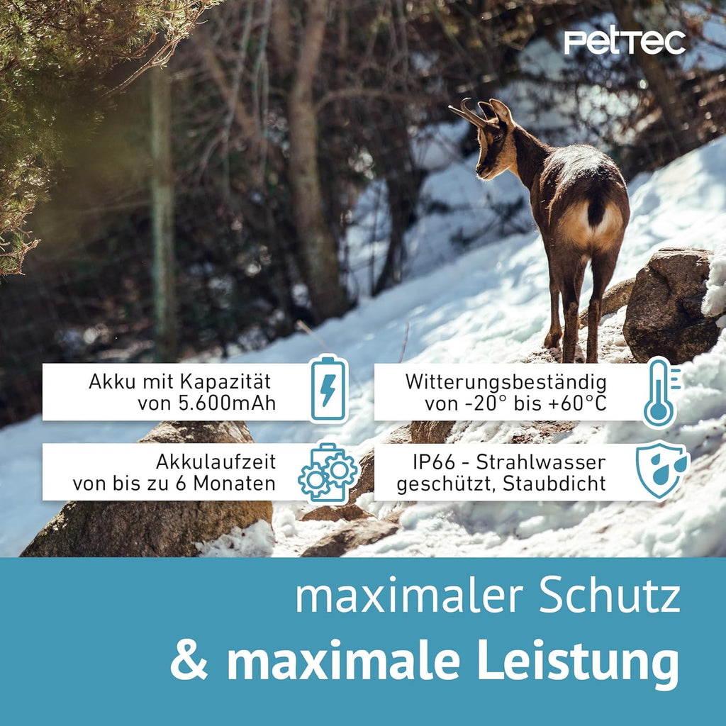 PetTec – Pet Cam Buddy Haustierkamera Futterautomat 8L für Katzen- & Hunde-Trockenfutter – Automatischer Futterspender mit WLAN & App-Steuerung -Inkl. 2-Wege-Audio, Bellerkennung & Nachtsicht
