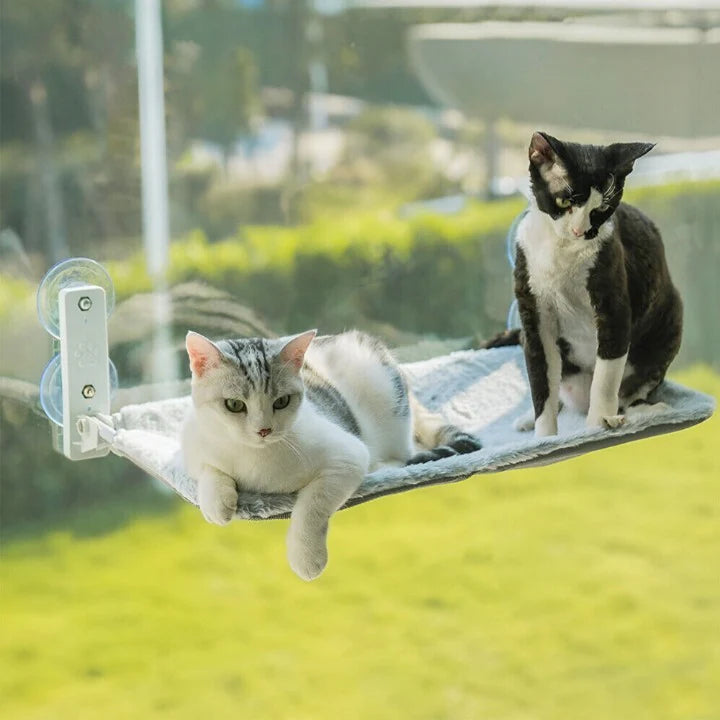 CatsHeaven - Amaca pieghevole per gatti