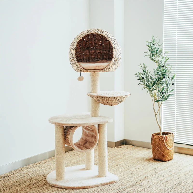 Vogelnest-Kratzbaum für Katzen – Der perfekte Ruhe- und Spielplatz für Ihre Katze