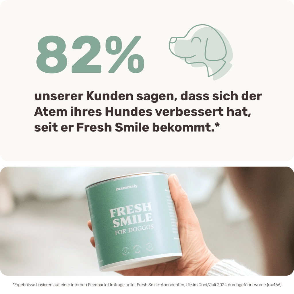 Fresh Smile