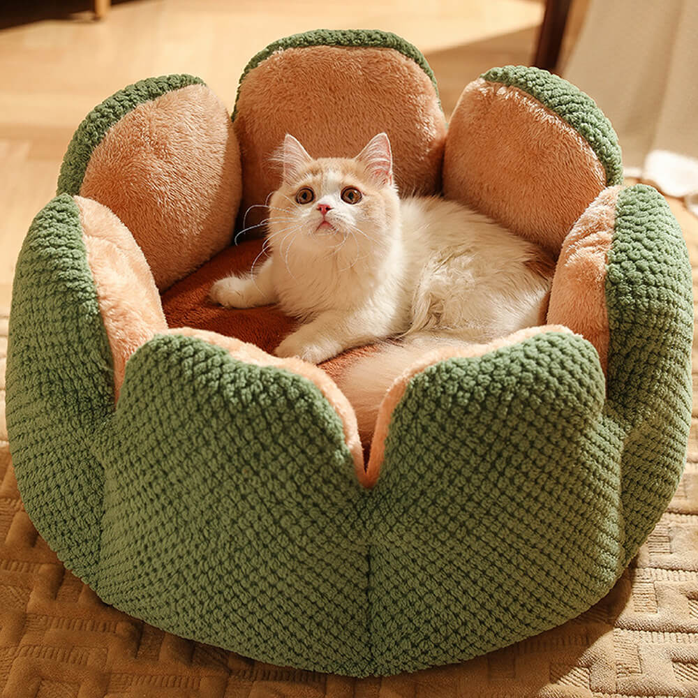Il letto per animali domestici - Comoda cuccia per gatti a forma di cactus