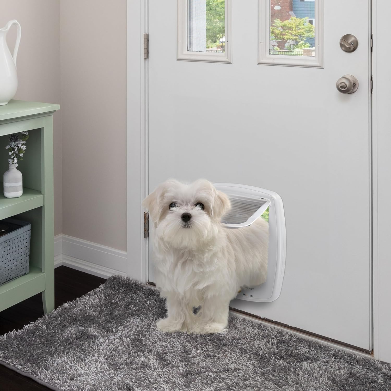 Ferplast Gattaiola per Cani di Taglia Media, Gattaiola per Gatti, Sportello per Animali Domestici a 4 Vie con Ingresso e Uscita Controllabili, con Protezione dalle Correnti d'Aria, Tunnel Completo, Sportello per Cani Swing 11, Grigio