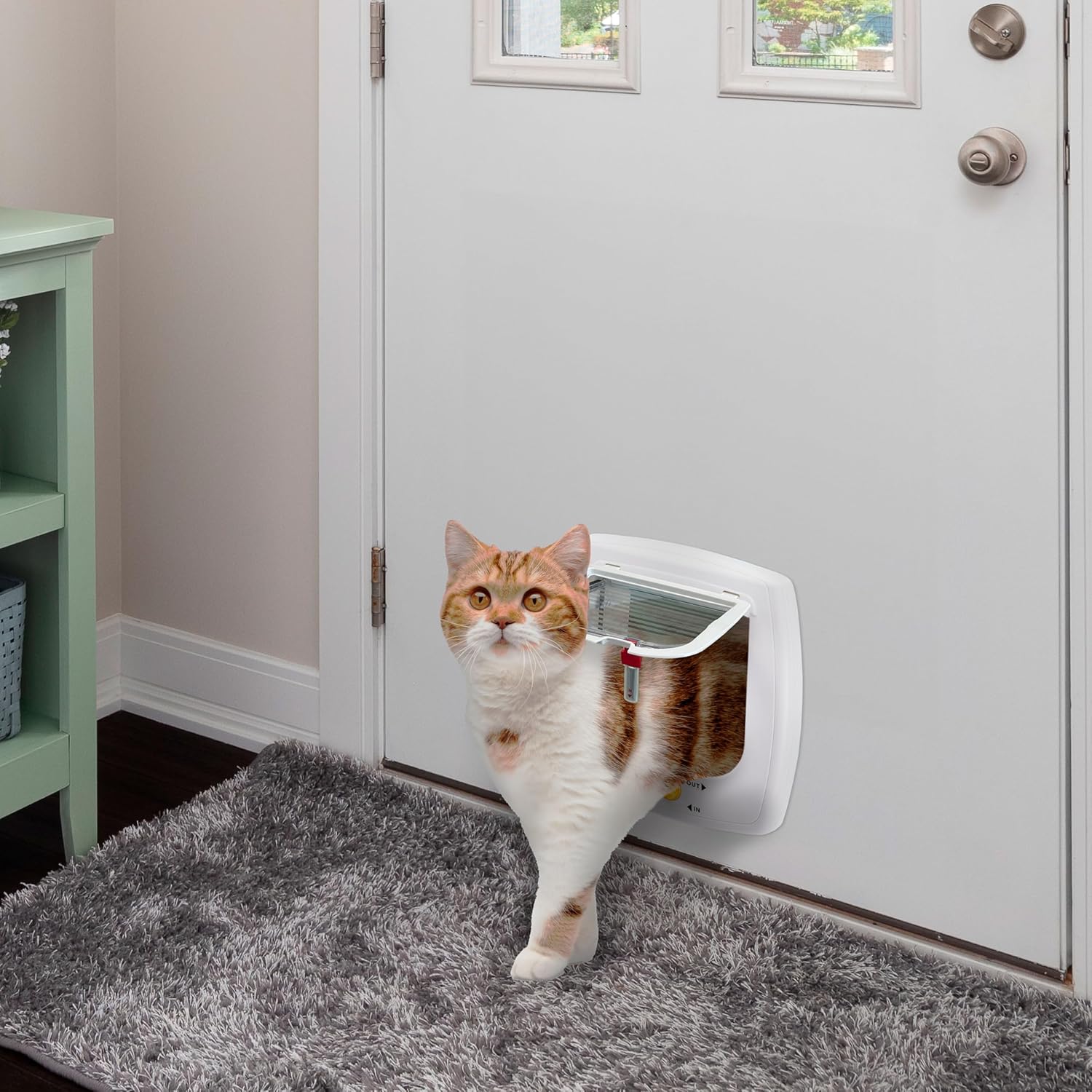 Ferplast Gattaiola per Cani di Taglia Media, Gattaiola per Gatti, Sportello per Animali Domestici a 4 Vie con Ingresso e Uscita Controllabili, con Protezione dalle Correnti d'Aria, Tunnel Completo, Sportello per Cani Swing 11, Grigio