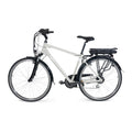 Lyfco E-Bike Elian 28, grigio