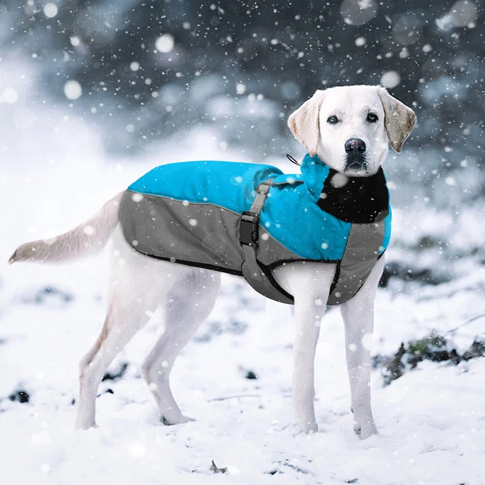 Wuffy - Wasserdichte Winterjacke für Hunde | Warm und Bequem bei jedem Wetter