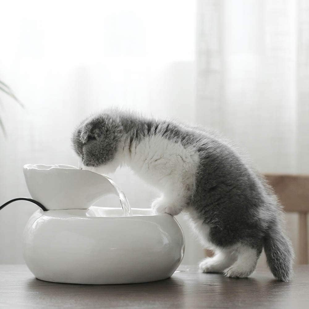ALEjon Fontana d'Acqua Potabile in Ceramica Portatile per Gatti – Distributore Automatico di Acqua Circolante per Animali Domestici per Gatti e Cani – Fontana per Bere Sana e Igienica con Pompa Silenziosa