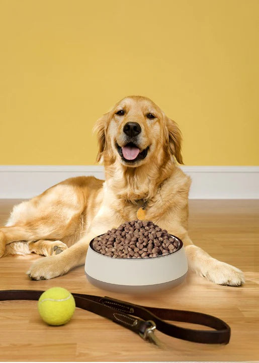 Duraflex – Robuster Edelstahl-Fressnapf für groe Hunde