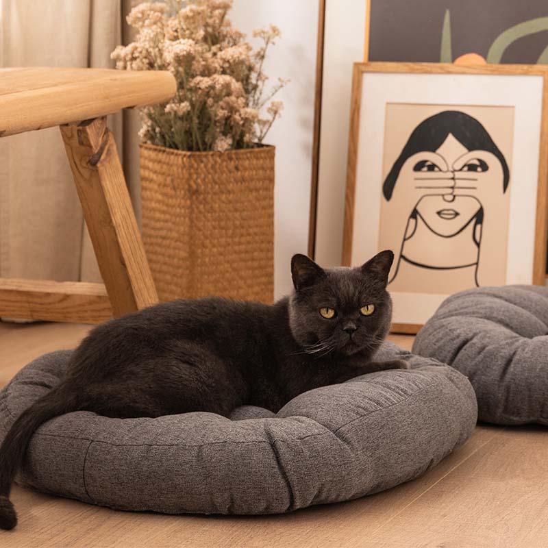 KatzenKuschel – Weiche Baumwoll-Sitzkissen für stilvolle Entspannung deines Haustiers
