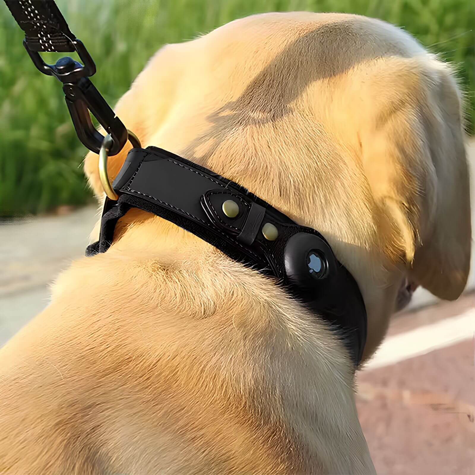Collare per cani con supporto AirTag – Localizzazione GPS per la sicurezza del tuo cane