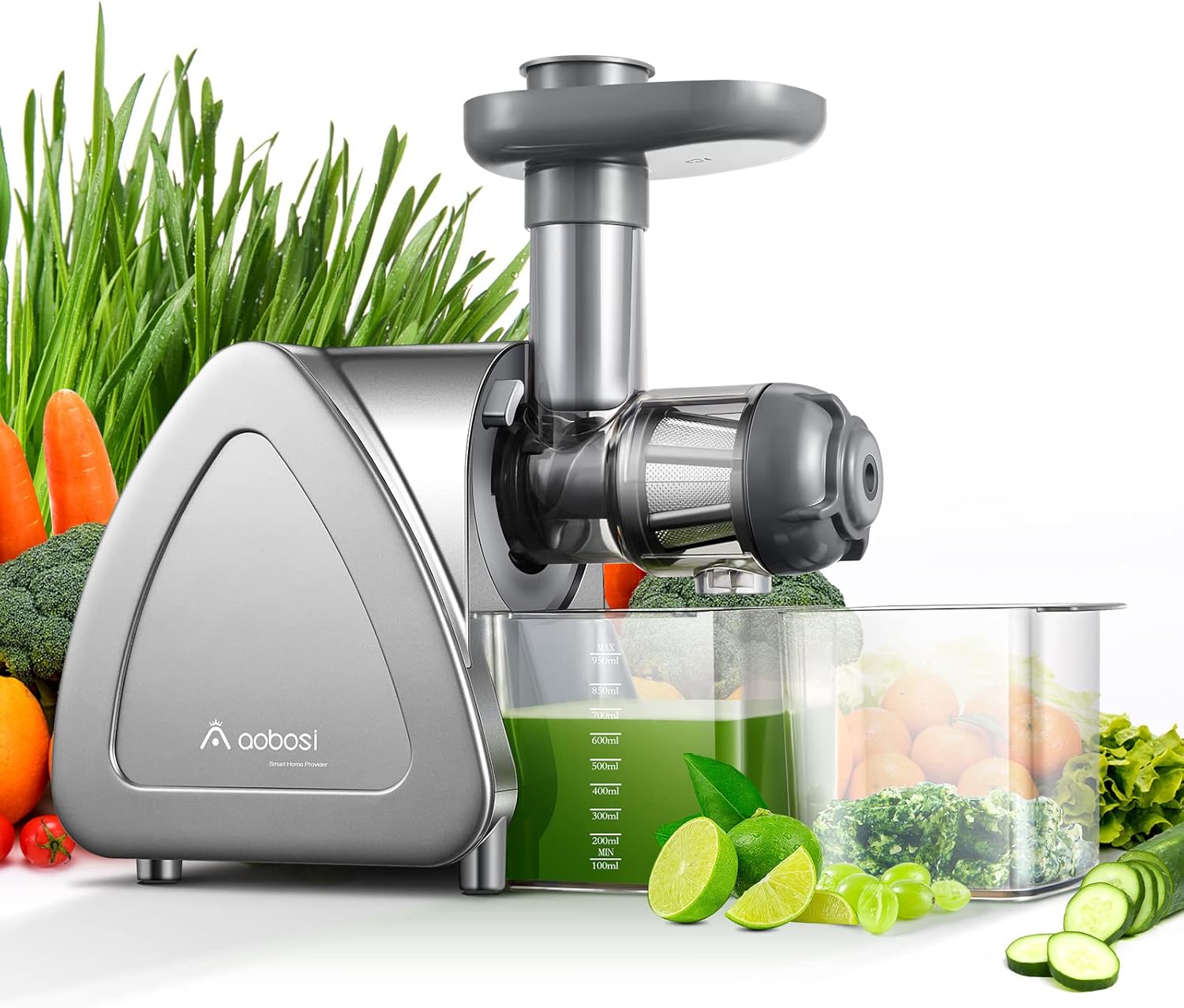 【Neues】Entsafter AOBOSI-Slow juicer mit 2 Geschwindigkeitsstufen-Entsafter gemüse und obst mit 8 stufiger Schnecke-Saftpresse mit Reinigungsbürste&2 Bechern-Obstpresse mit Reversierfunktion