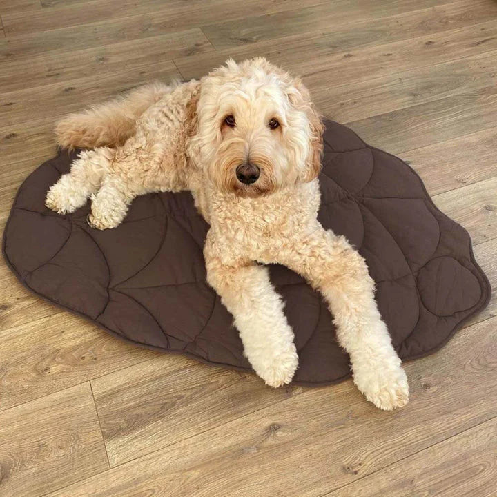 Pip | Coperta soffice per cani
