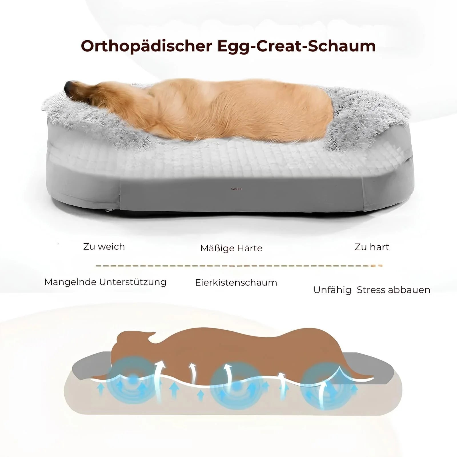 HundeTraum - Orthopdisches Hundebett für optimalen Schlafkomfort