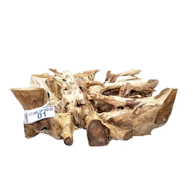 Tavolino NAGA in radice di albero, con piano in vetro, 110 cm x 110 cm