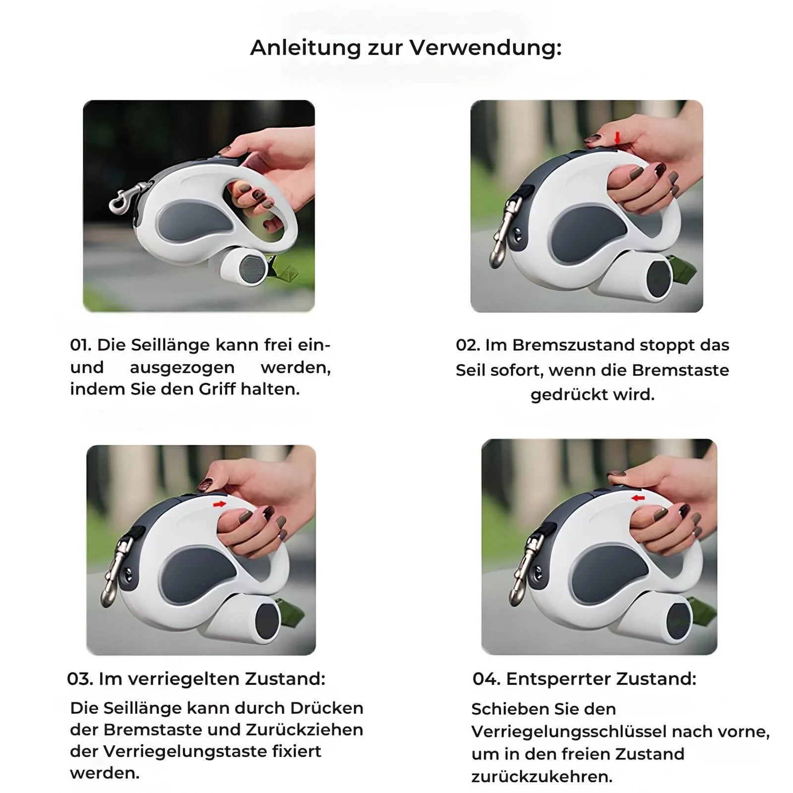 LED-Hundeleine – Einziehbare und beleuchtete Trainingsleine für sicheres Gassi gehen