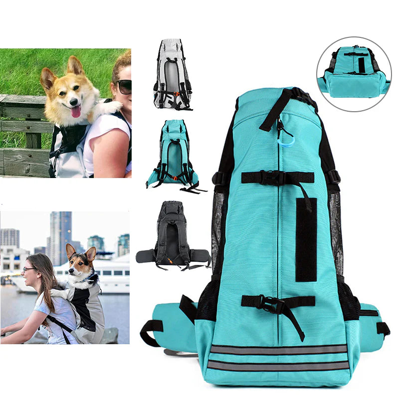 Zaino per cani grande e traspirante – comfort e sicurezza per i viaggi