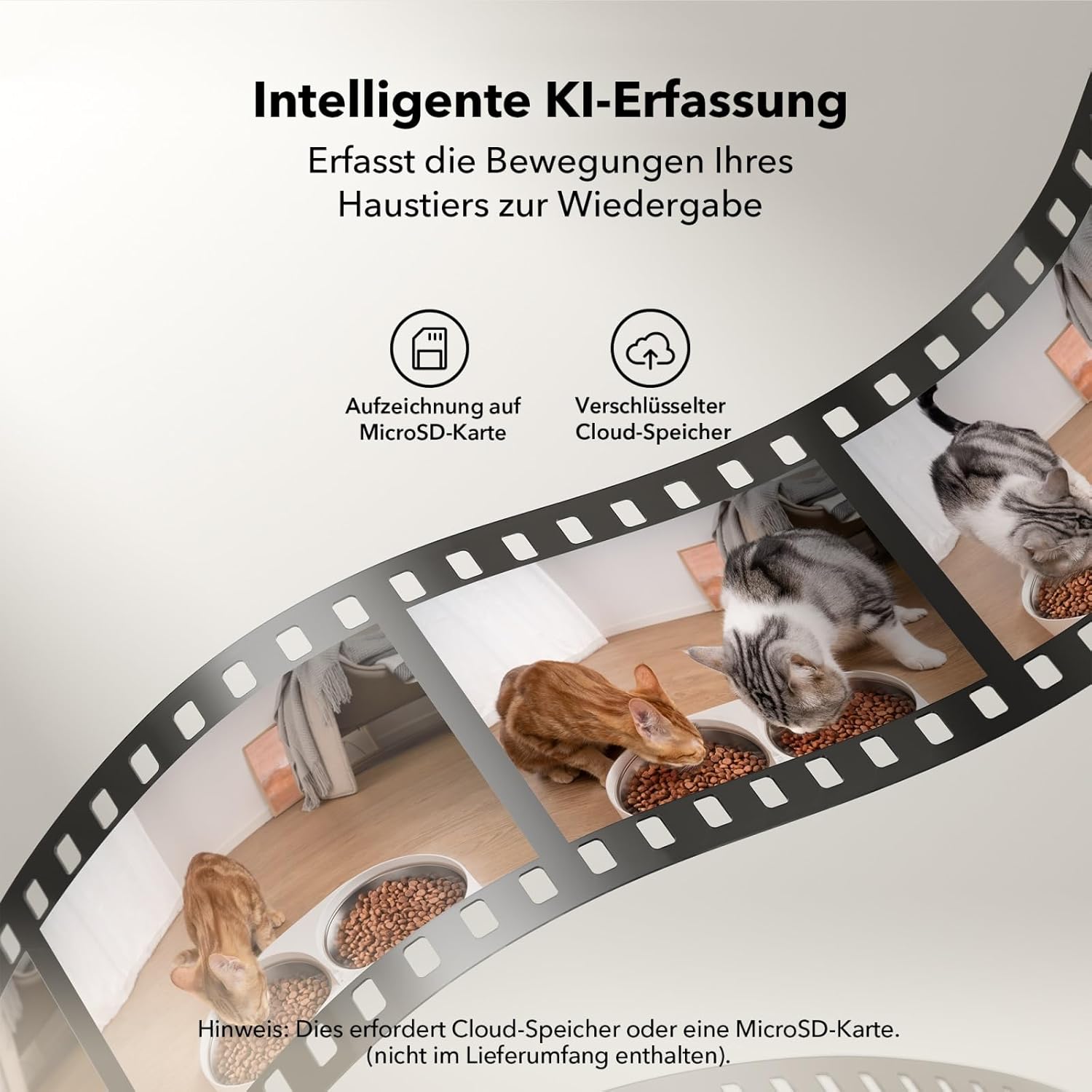 PETLIBRO 5L Futterautomat Katze mit 1080P Kamera - 5G WiFi Futterspender Hund mit APP & Nachtsicht, Sensor für Niedriger Futter & Blockierung, Bewegungs & Tonalarm für Haustiere, 1-10 Mahlzeiten