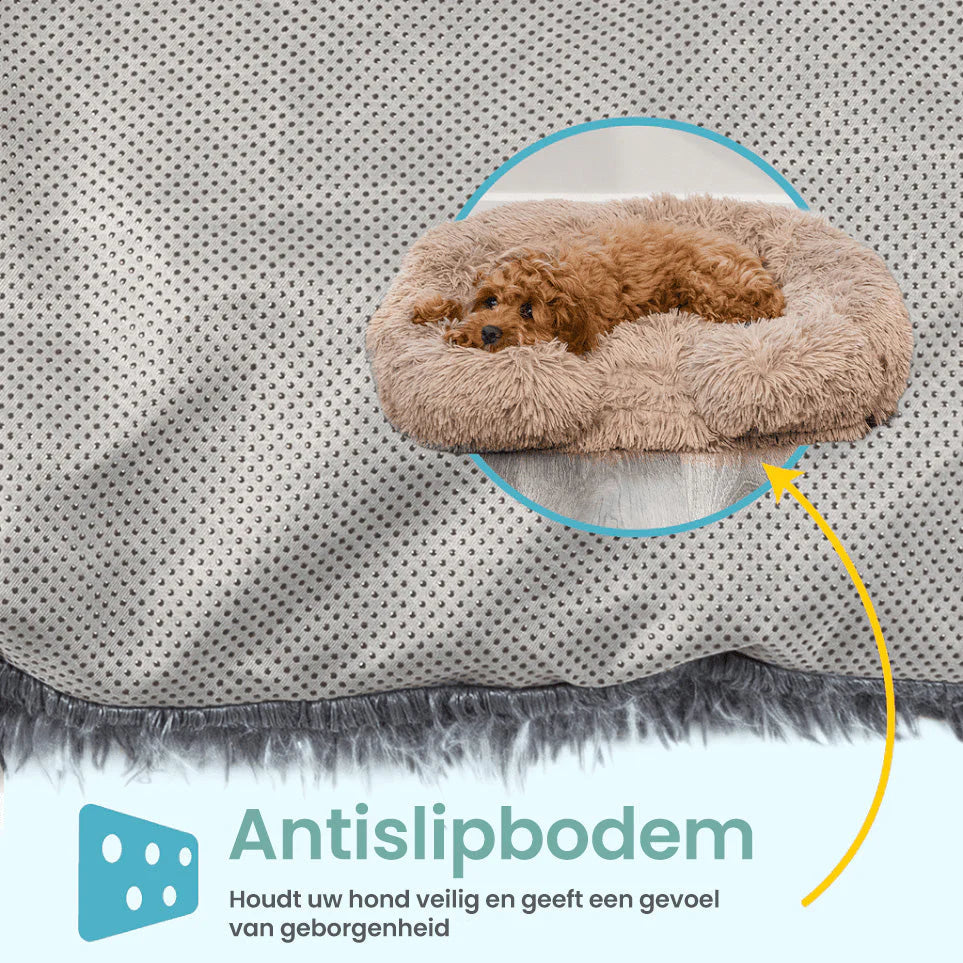 Max | Comoda cuccia per cani con Memory Foam