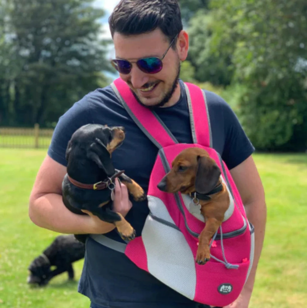 Verstellbarer Hunde-Tragerucksack für kleine & mittelgroe Hunde bis 11 kg – Komfort und Sicherheit unterwegs
