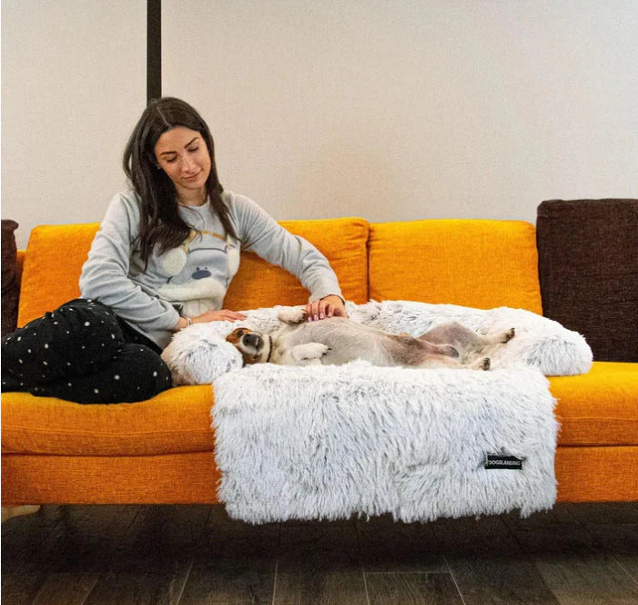 Gemütliches Hundebett für dein Sofa