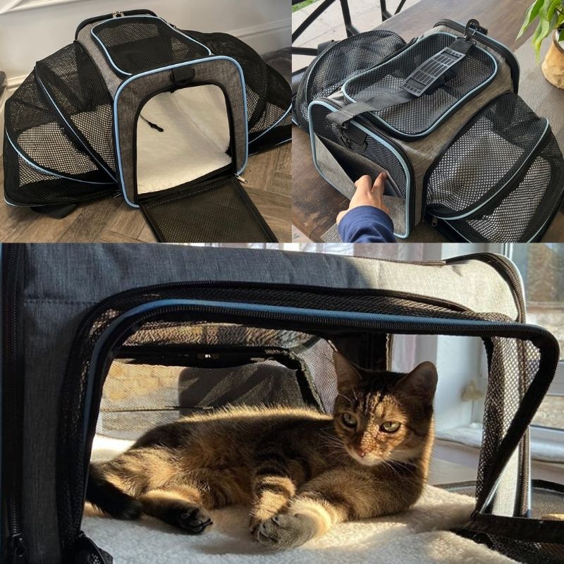 HundeJoy Premium Katzen-Tragetasche – Der sichere und stilvolle Begleiter für Ihre Reisen