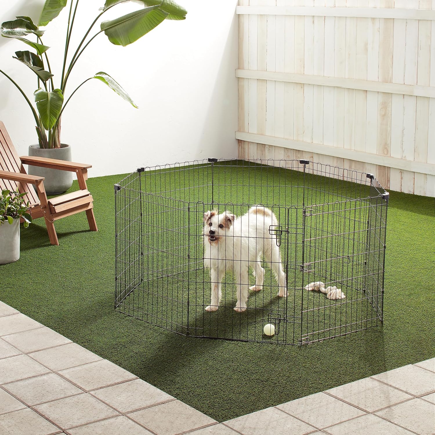 Amazon Basics - Achteckig, Laufgehege für Hunde und andere Haustiere, faltbar, Metall, mit Tür,122 cm, Schwarz