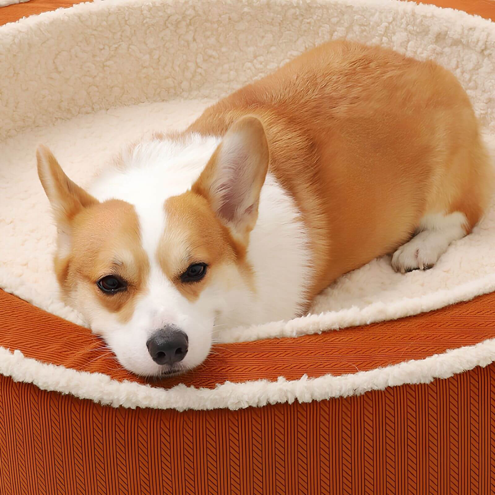 CozyNest – Cuccia rotonda e accogliente per un sonno riposante