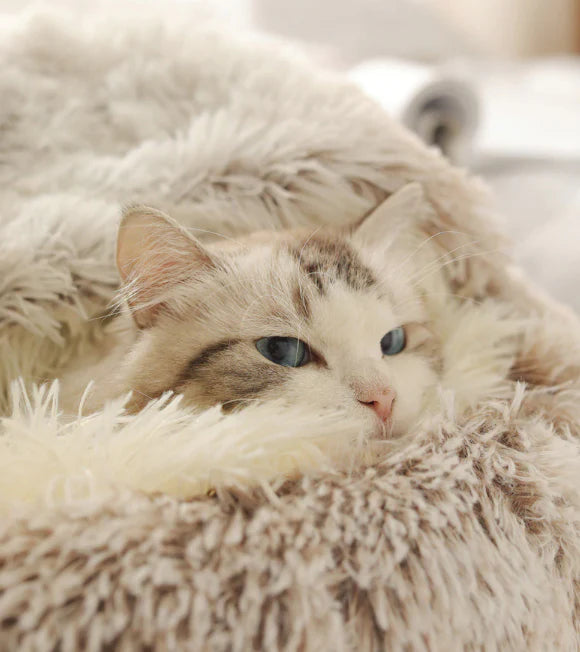 Gemütliches Katzenbett Wohlfühloase Version 2.0 – Luxuriser Schlafplatz für Ihre Katze