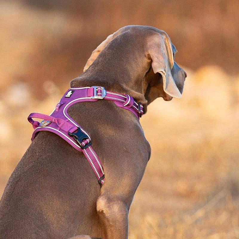 Pettorina Anti-Tiro TrueControl – Presa Sicura e Comfort