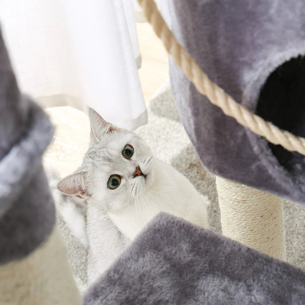 PERCHO Kratzbaum – Mehrstckiger Katzenbaum mit Spielplattform und Kuschelhhle