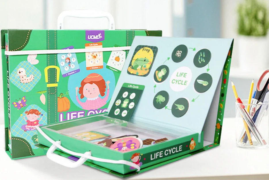 LifeCycle - Ein spielerischer Weg, etwas über Lebenszyklen zu lernen! - Puzzle Box