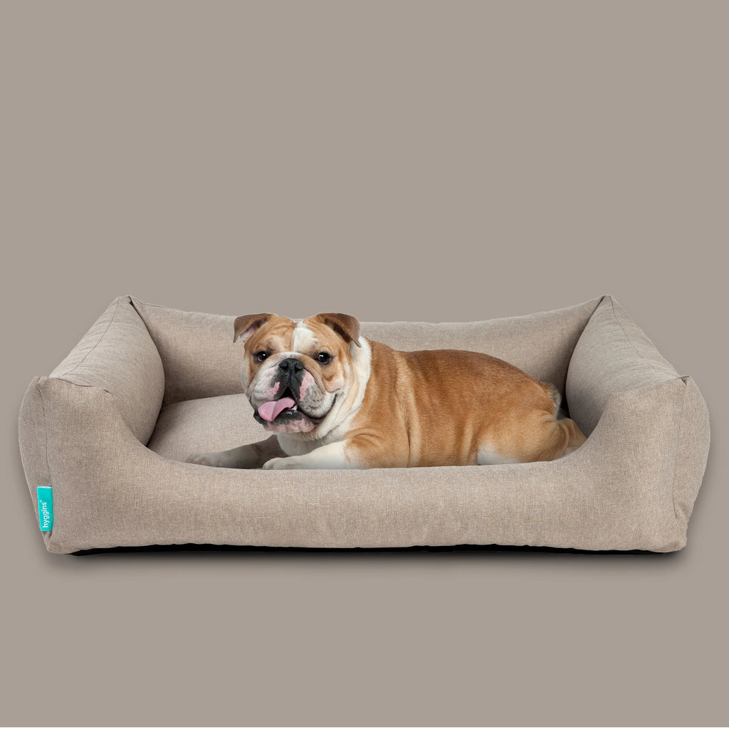 Cuccia per cani Dreamer Pure