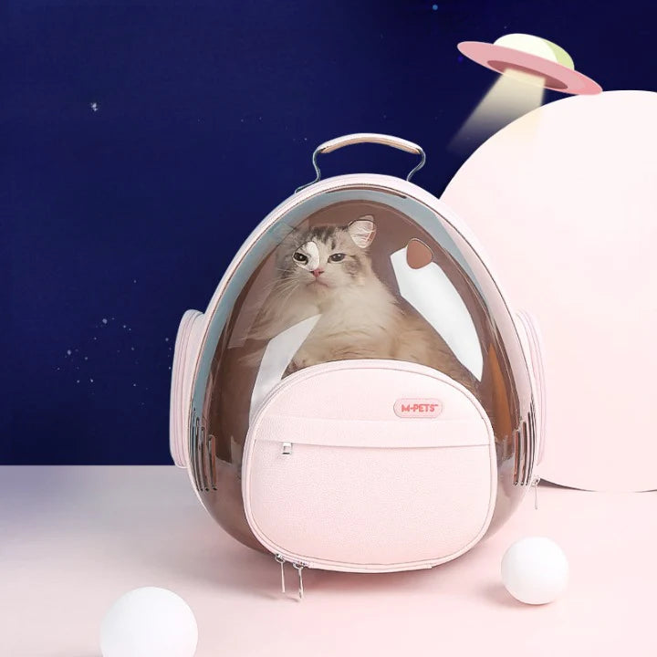 PetPorter – Gerumige und atmungsaktive Katzentransporttasche mit modernem Design