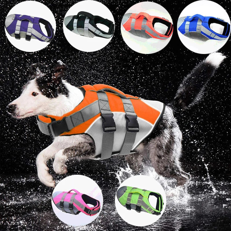 Schwimmweste für Hunde – Reflektierende Rettungsweste mit Auftrieb und Griff für mehr Sicherheit im Wasser