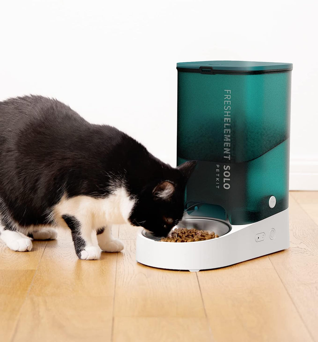 Petkit Smart Futterautomat Solo 3 Liter, Farbe: Grau