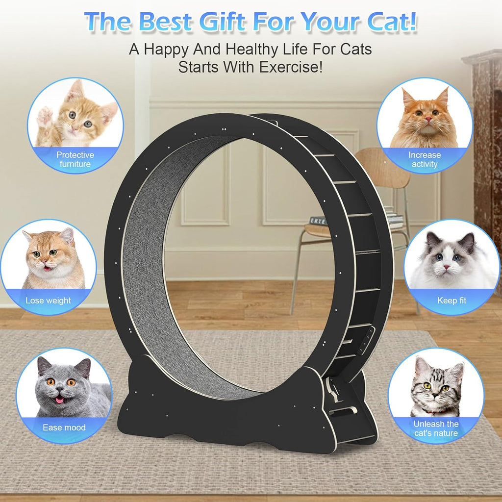 Katzenlaufrad, Laufrad für Katzen, 100cm Innendurchmesser Laufrad Katze, Super Leises Haustier Katze Laufrad Spielzeug, Holzlaufrad Laufrad Wheel Innen für Kleines Mittel Großes Katze (Holzfarbe, XL)