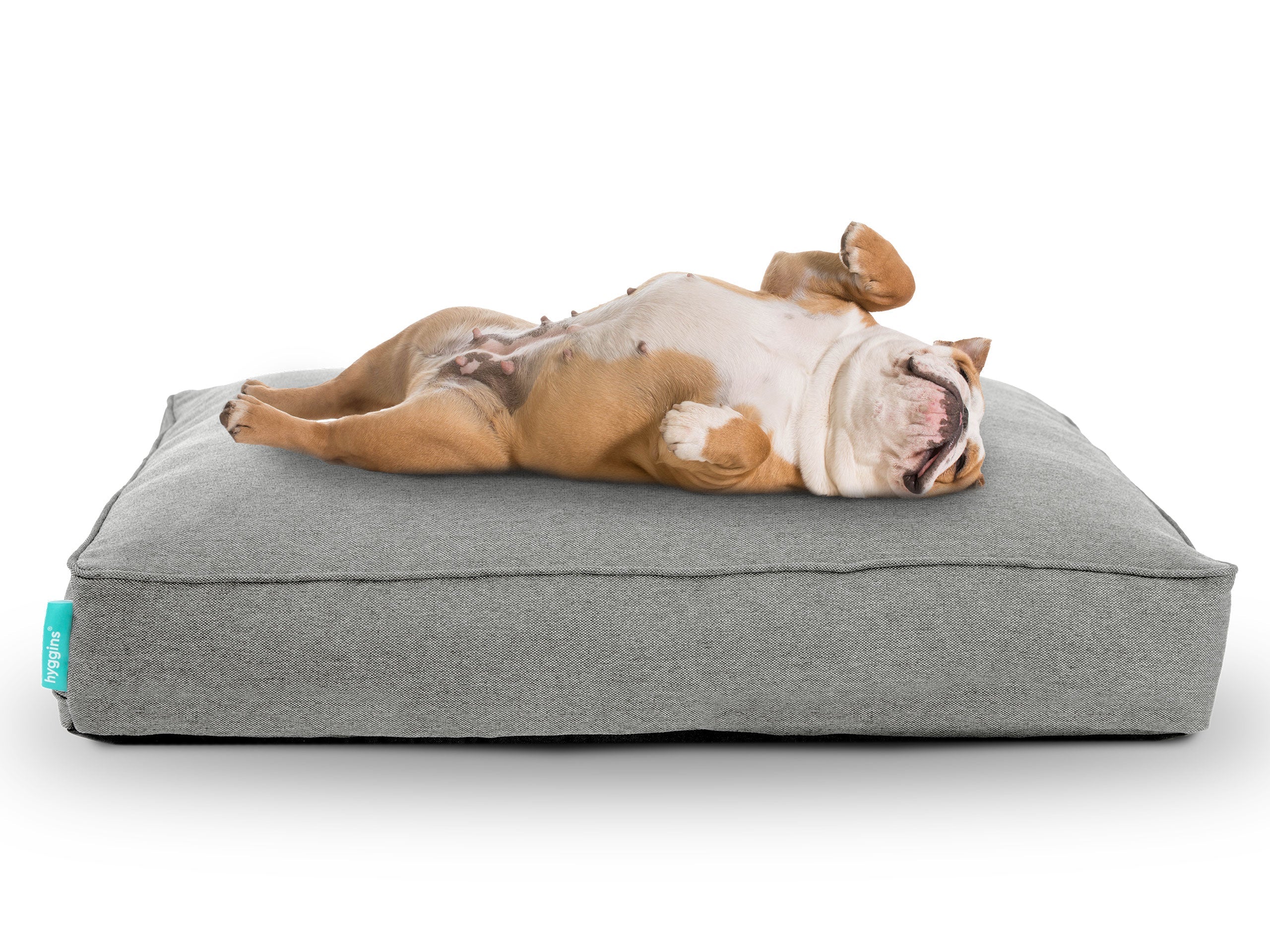 Lounger Plus Hundekissen