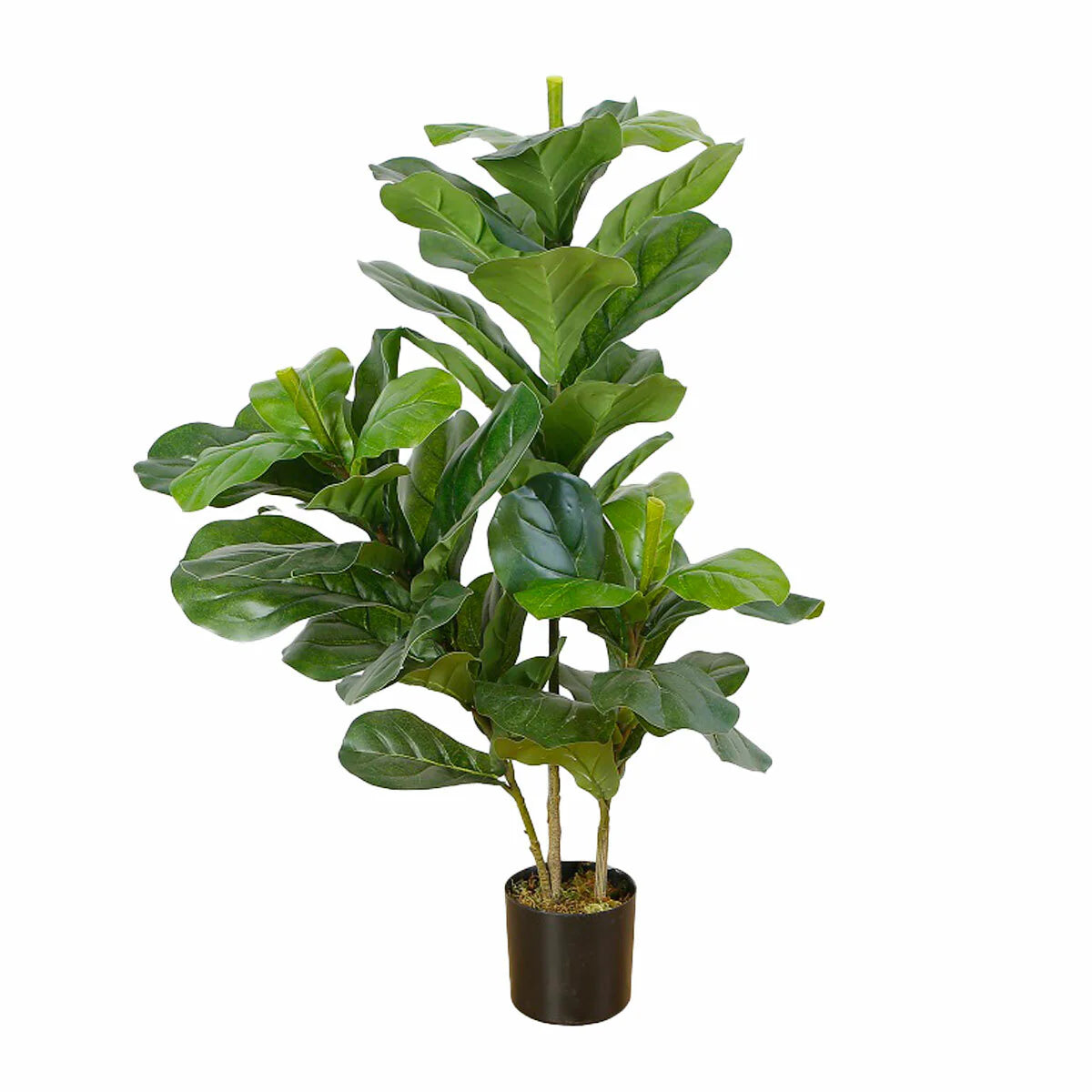 Lykke Piante Artificiali Fico Lira 85cm