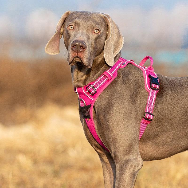 Pettorina Anti-Tiro TrueControl – Presa Sicura e Comfort
