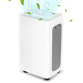 Sonnewelt Luftentfeuchter 26L mit Timerfunktion, Wschetrockungsfunktion, Abtaufunktion