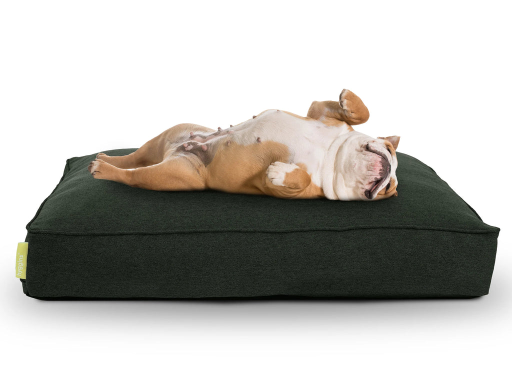 Lounger Plus Hundekissen