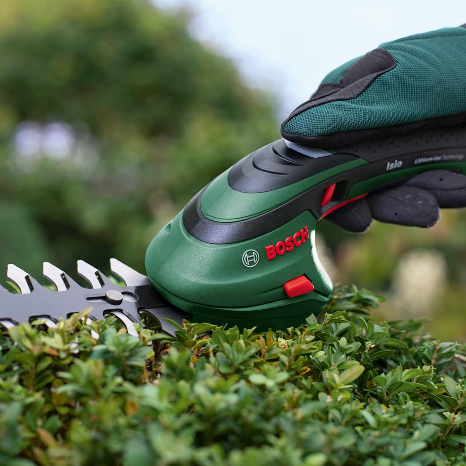 Set di tosaerba a batteria Bosch Isio (3,6 Volt, lunghezza lama 12 cm, distanza tra i denti 8 mm, con guanti da giardinaggio XL inclusi, in softcase) - Amazon Edition