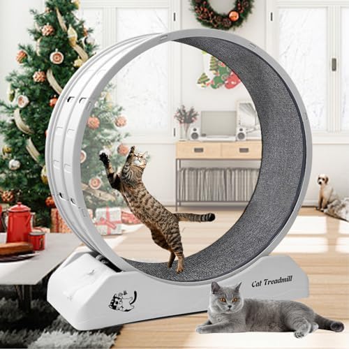Tapis roulant per gatti, Tapis roulant per gatti da interno, Tapis roulant per gatti con moquette, Ruota da corsa per gatti per l'allenamento quotidiano e la perdita di peso, Ruota in plastica per gatti.