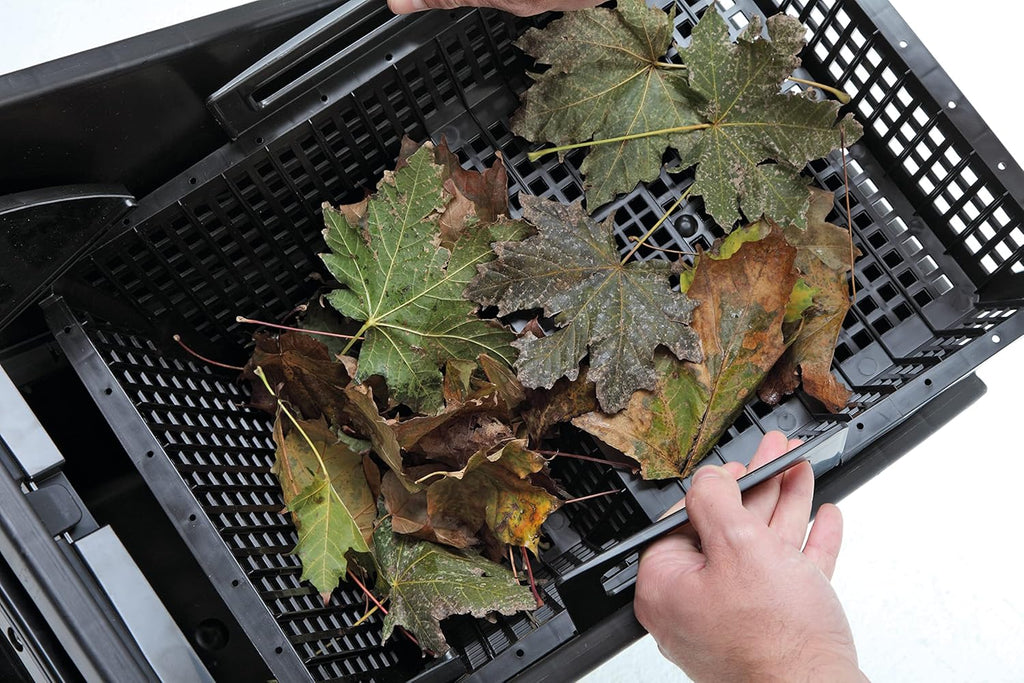 Oase 50170 SwimSkim CWS & Söll 14432 FilterstarterBakterien hochreine Mikroorganismen für Teiche 500 g - natürliche Filterbakterien aktivieren die Biologie der Filter im Gartenteich