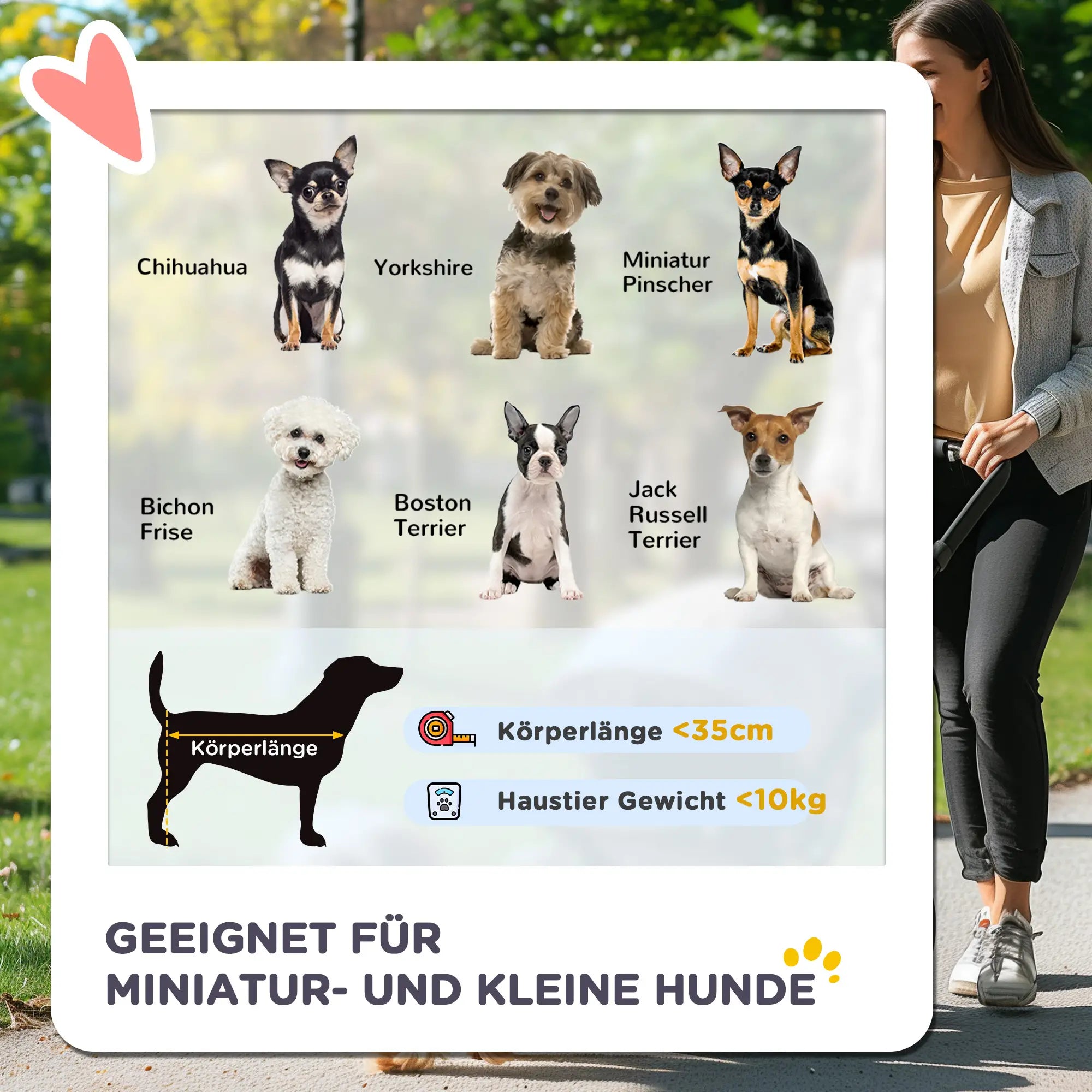 PawHut Hundebuggy faltbar mit Feststellbremse und Einkaufskorb
