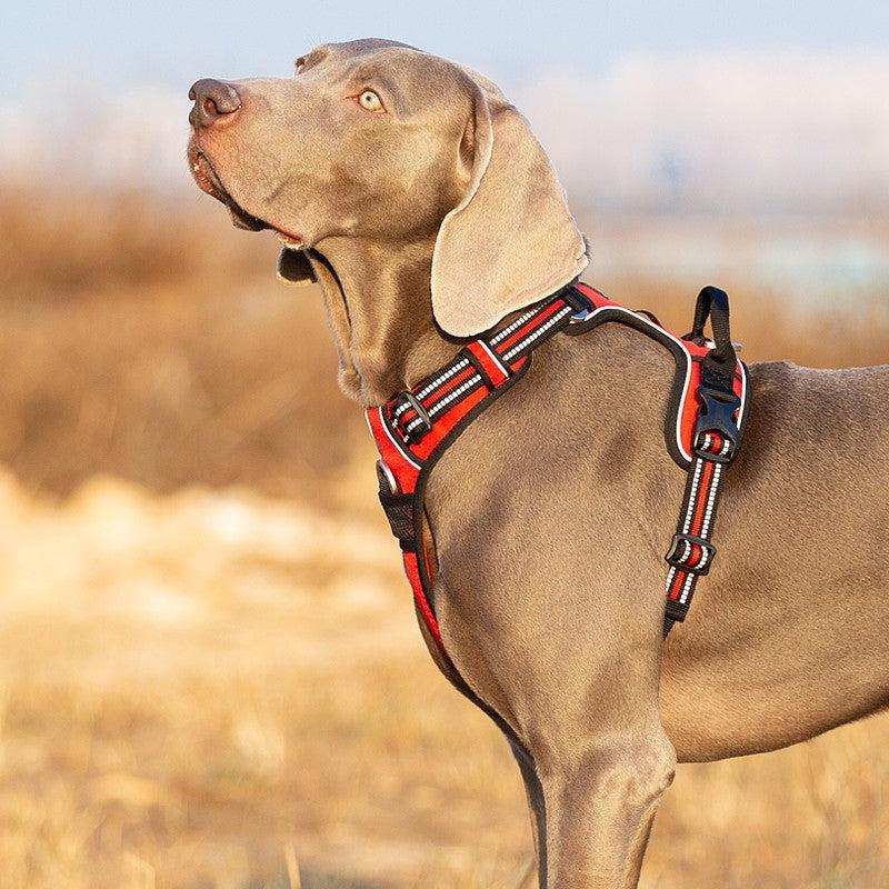 Pettorina Anti-Tiro TrueControl – Presa Sicura e Comfort