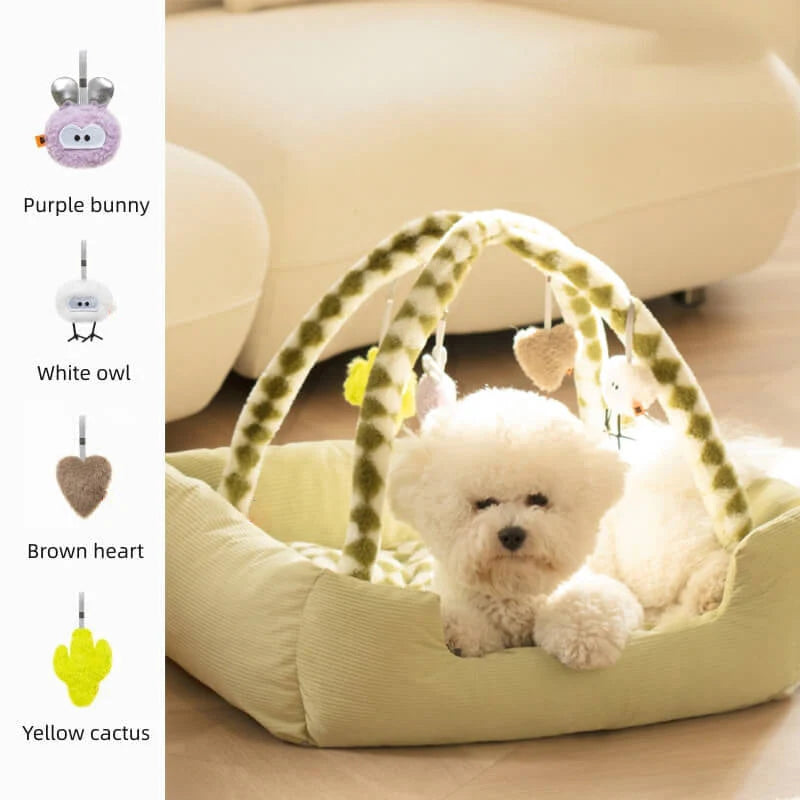 KatzenTraum – Vielseitiges Katzenbett und Spielmatte für ultimativen Komfort und Spa