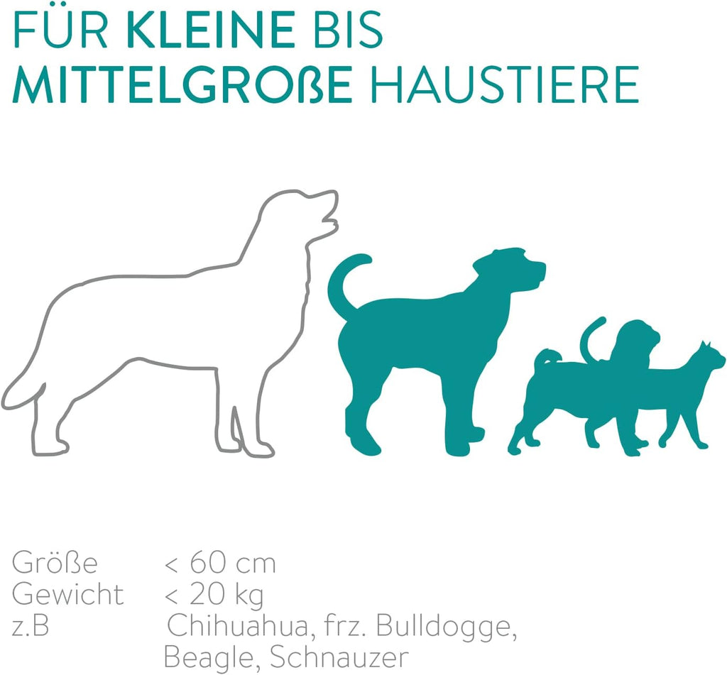 Navaris Distributore Automatico di Cibo con Timer - Ciotola per Alimenti Automatica da 6L con Timer e Notifica Sonora - per Cane e Gatto