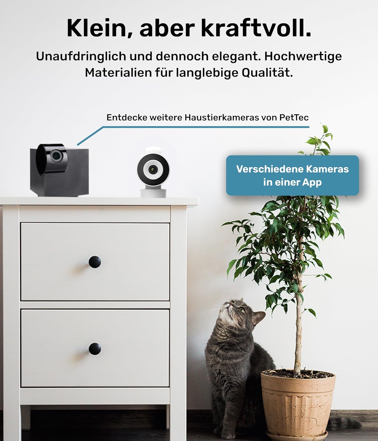 PetTec – Pet Cam Buddy Haustierkamera Futterautomat 8L für Katzen- & Hunde-Trockenfutter – Automatischer Futterspender mit WLAN & App-Steuerung -Inkl. 2-Wege-Audio, Bellerkennung & Nachtsicht